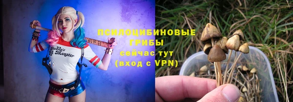 шишки Каменск-Шахтинский