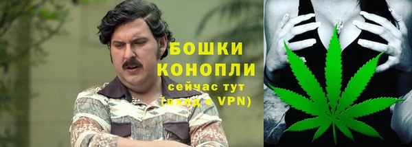 мет Каменногорск