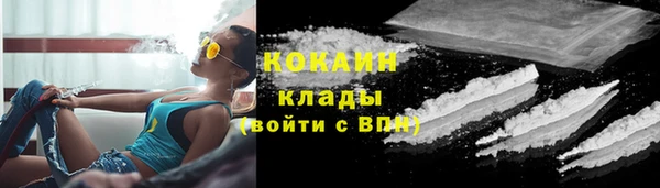 тгк Инсар