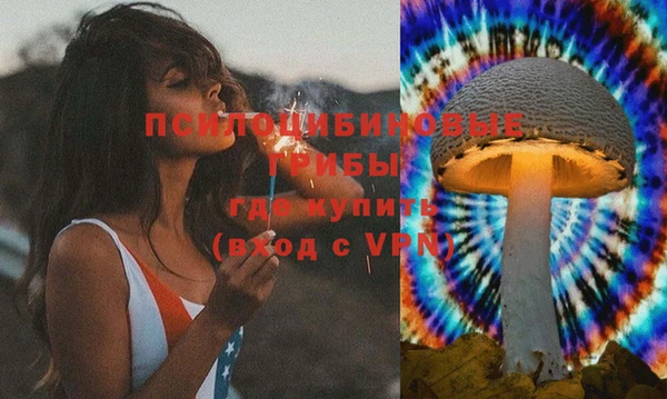 мет Каменногорск
